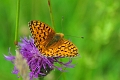 11 07 15_5921_edited-1